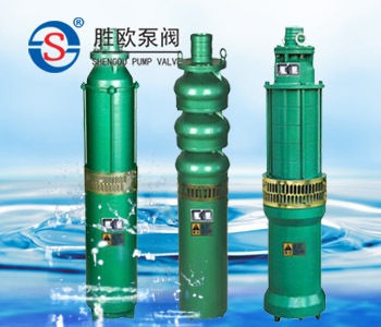 QS型号充水式潜水电泵